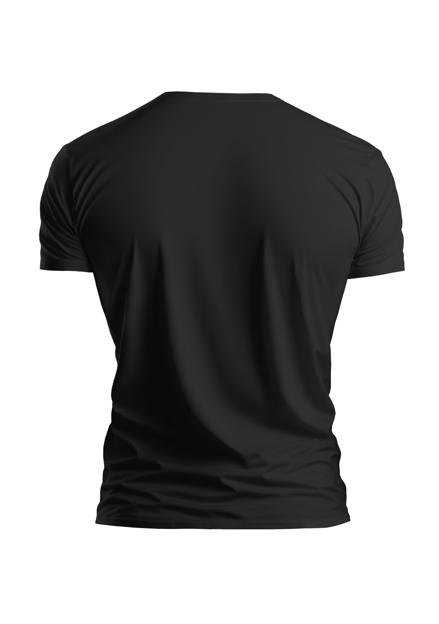 T-SHIRT | ROSE DES VENTS ARGENT | V.2